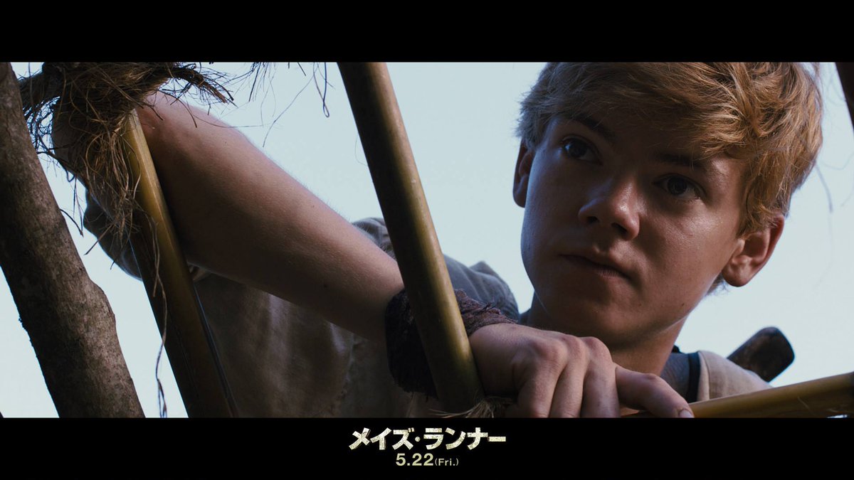 メイズ ランナー トーマス サングスターは メイズ ランナー でニュートを演じた ラブ アクチュアリー ゲーム オブ スローンズ あの少年 青年です メイズランナー 映画 Http T Co 7obcc7tiga メイズ ランナー トーマス サングスターは メイズ ランナー でニュートを演じた ラブ アクチュアリー ゲーム オブ スローンズ あの少年 青年です メイズランナー 映画 Http T Co 7obcc7tiga