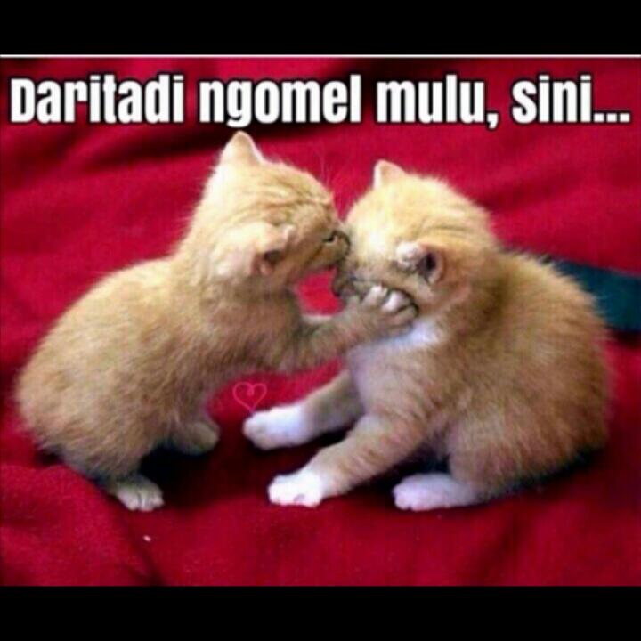 Indotweet8's tweet photo. sini cium dulu :** http://t.co/r8oH1BIV59