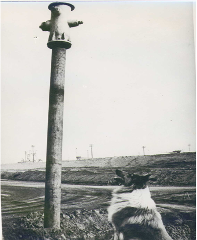 SPEatTheBeach's tweet photo. Fun Fact: Oil production used to cause the ground to sink! Luckily, new drilling techniques remedy this. @SPEtweets http://t.co/dbnpeQiNz4