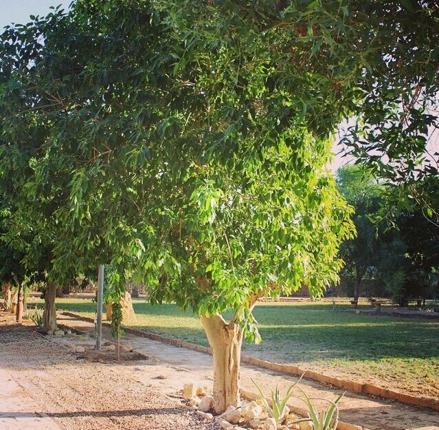 ReefCompound's tweet image. 