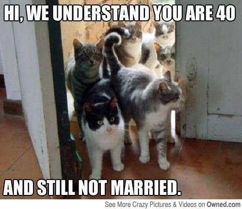 Crazy cat lady. http://t.co/Tq0PRddwoD<a href="/tag/sickpixs"class="tags"><span>#sickpixs</span></a>