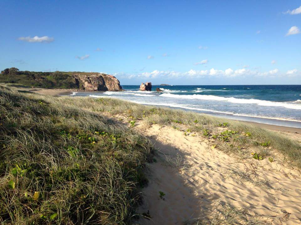 josh_tui's tweet photo. A bit of Aussie beauty. 
Just had some time off here last week. http://t.co/7mzYYzuSlr