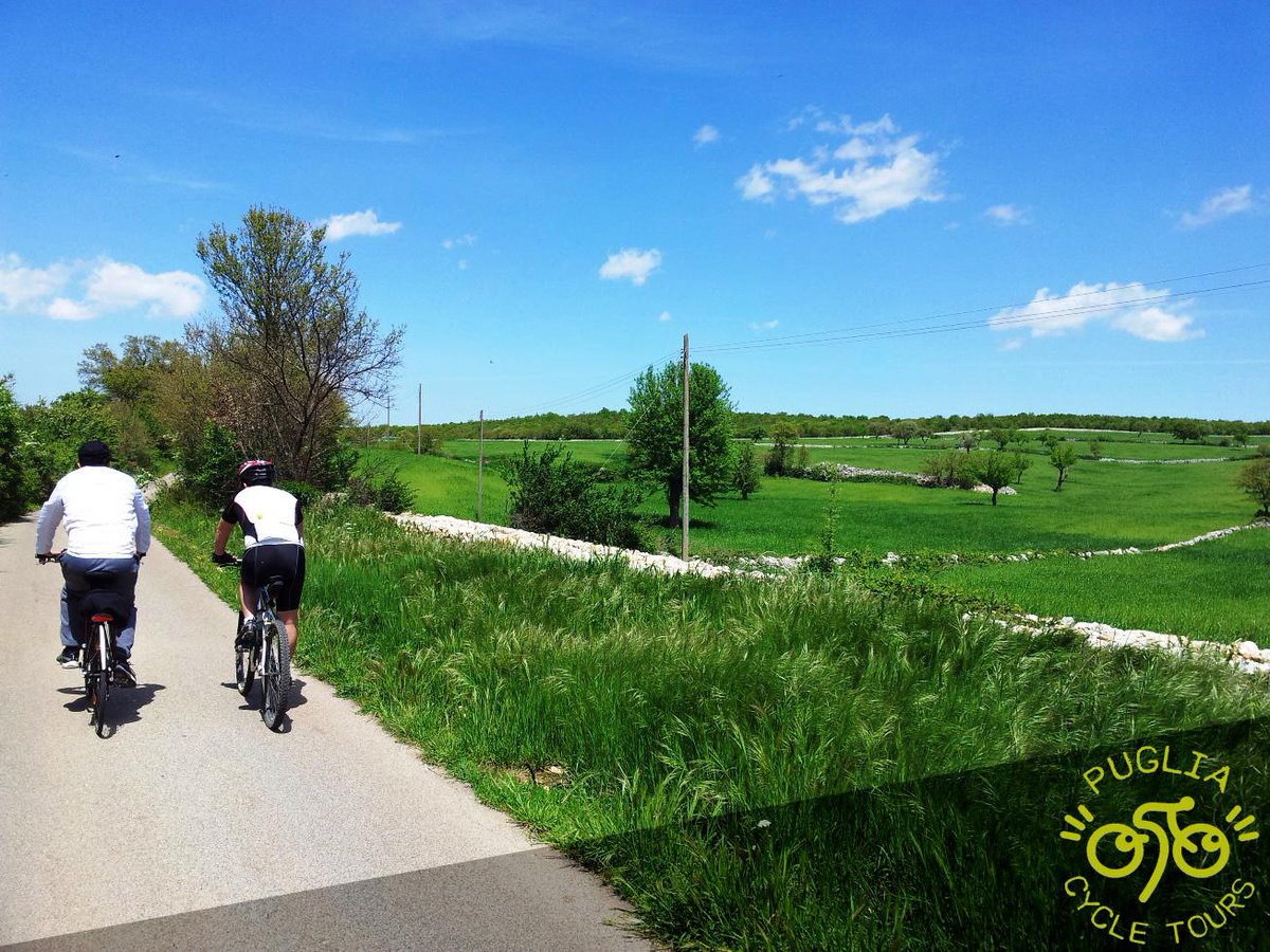 Discover the green of our dream
#weareinpuglia pugliacycletours.com