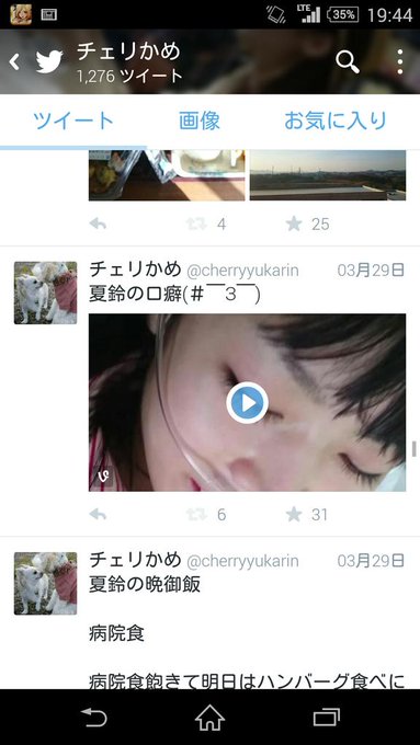 チェリかめ Cherryyukarin 15年04月 Twilog チェリかめ Cherryyukarin 15年04月 Twilog