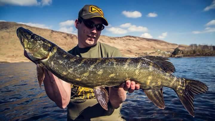 thefishinglife's tweet photo. #amazingpattern http://t.co/aH6ZJxWcHz