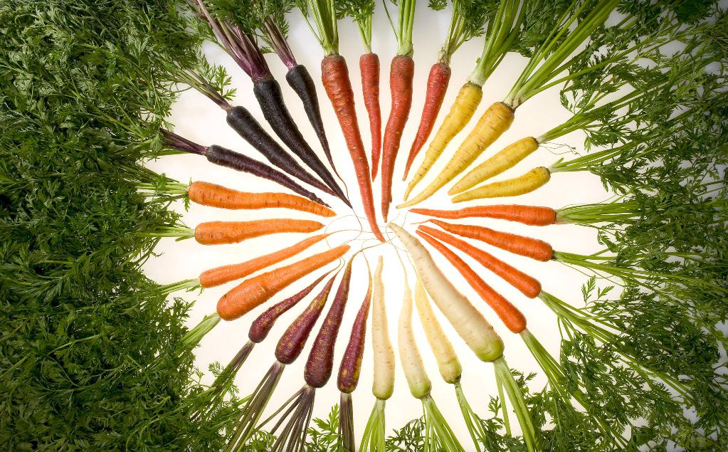 RaiExpo's tweet photo. La carote che non abbiamo mai mangiato #biiodiversità #Expo2015 http://t.co/D5MdCPppB2 http://t.co/KI5LbZ3AKb
