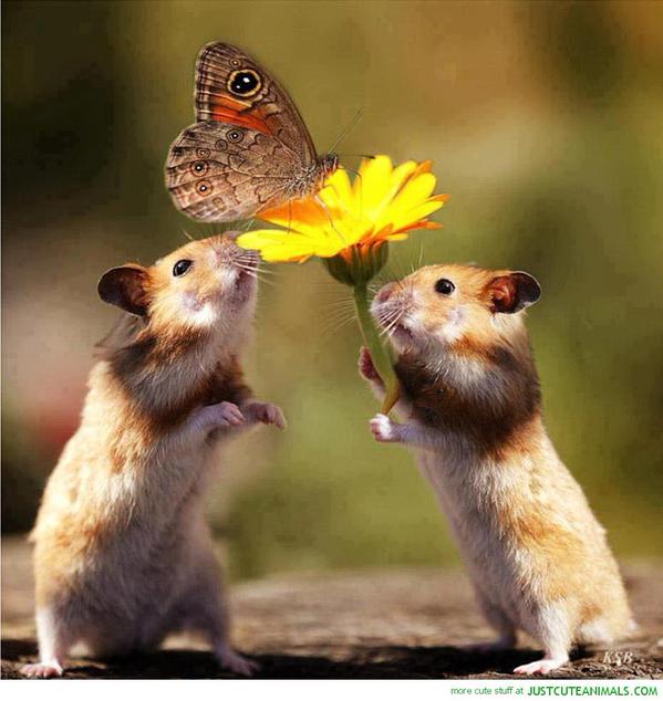 SindhInfoDeptt's tweet image. @azi_06 @iamsxi