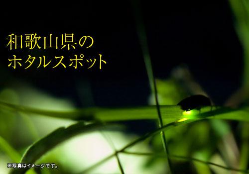 Ｂｌｏｇｇｕｅｕｒ tweet media