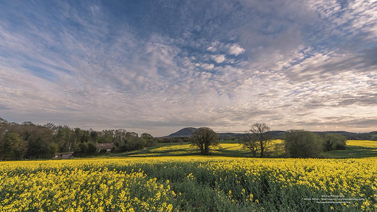 Awakening
facebook.com/macropphotogra…
#photography #malvern <a href="/GreatMalvernUK/">Great Malvern</a>