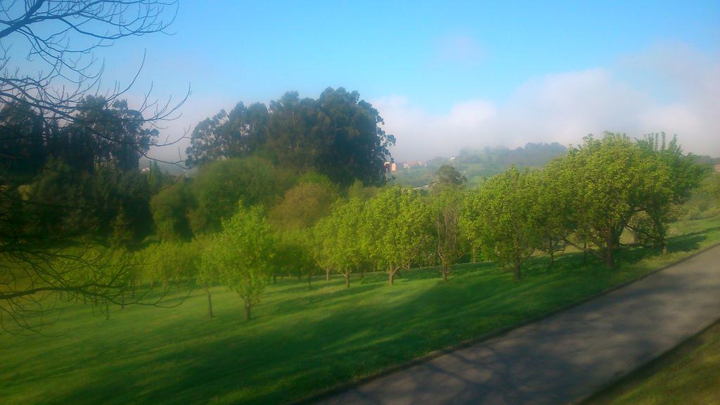 Oviedo Pasión natural, <a href="/agusCaunedOvd/">Agus IglesiasCaunedo</a>. <a href="/lanuevaespana/">La Nueva España</a> <a href="/GaitasOviedo/">B.G.Ciudad de Oviedo</a>