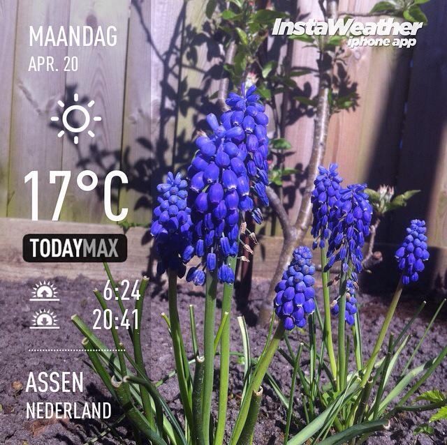 Genieten van <a href="/hetweerinassen/">Het weer in Assen</a> 👍