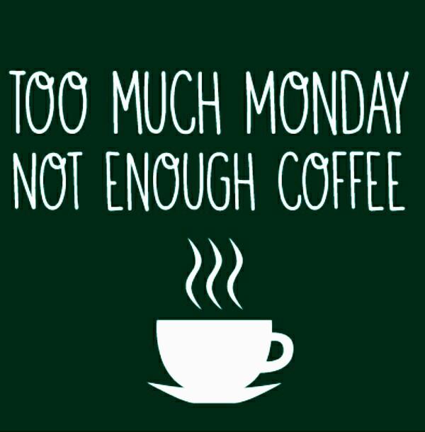 Big Name Beans tweet media