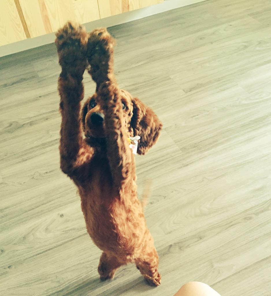 LinWhytee's tweet photo. 1 paper down ✋🏻 hi 5 jiejie http://t.co/hK67f1RkFc
