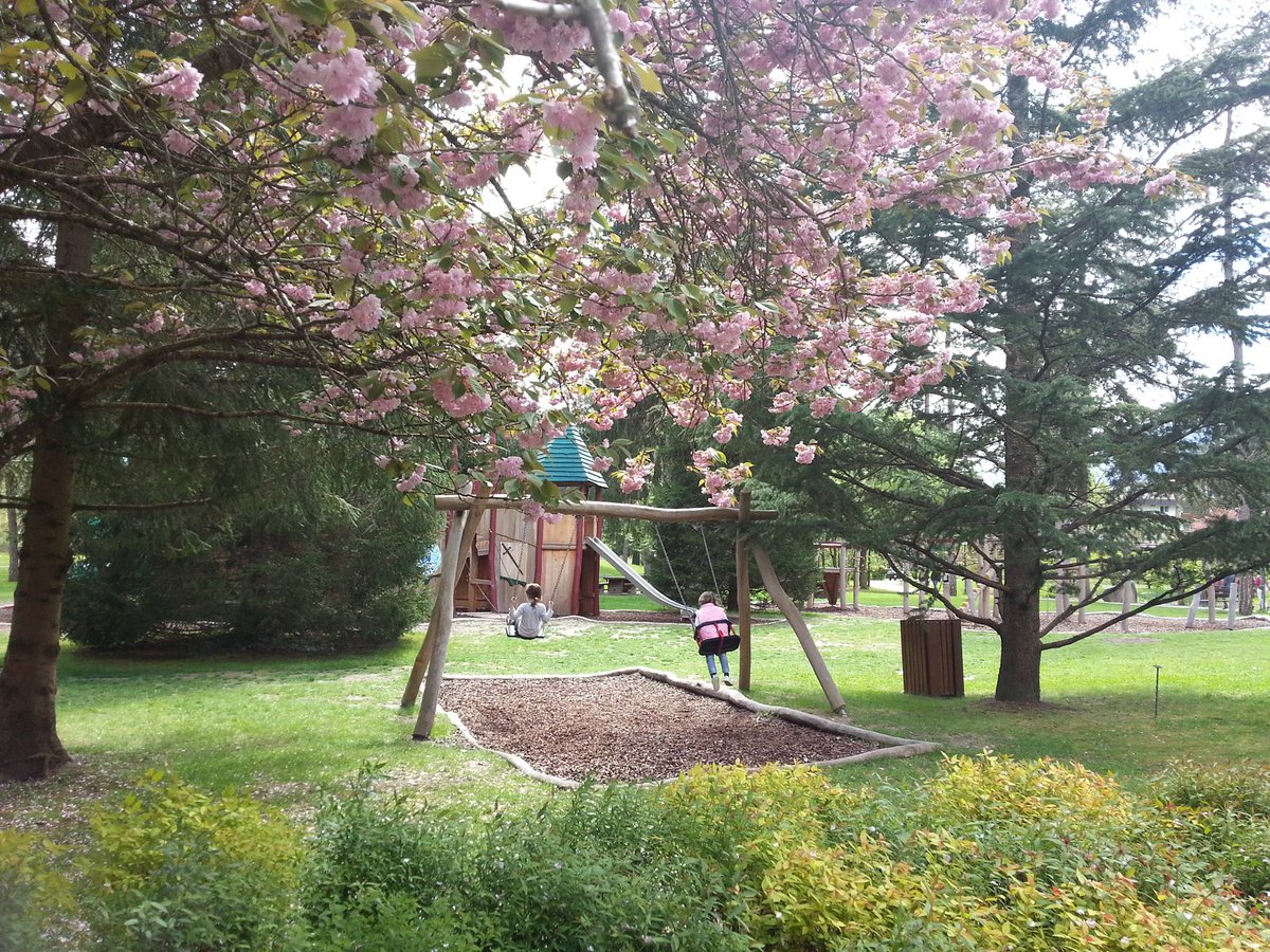 ComanoCattoni's tweet photo. Il divertimento per i bimbi qui รจ assicurato: #parcotermale delle @TermediComano ;-) @bambiniCLV @bimbieviaggi http://t.co/ojbnJaqAbe