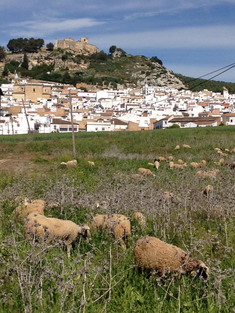 esperacf's tweet photo. Cuánto vale esto en Barcelona? http://t.co/KiKRMa8GAN
