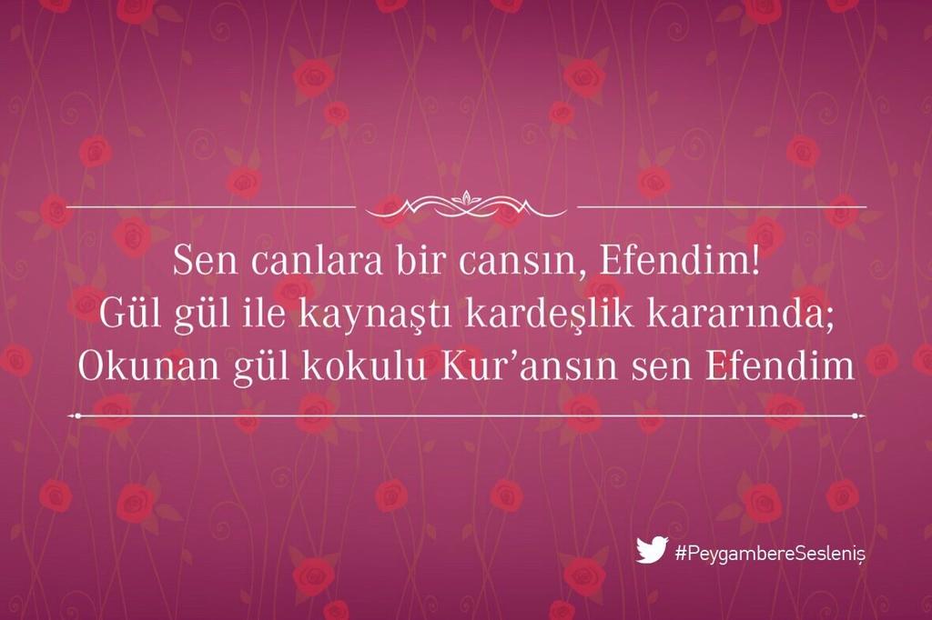 SiirtGunleri's tweet photo. #PeygambereSesleniş http://t.co/InQYlrUlqn