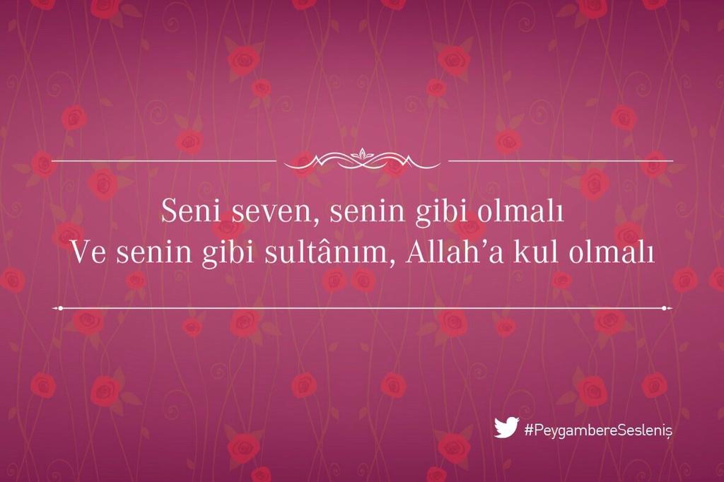 SiirtGunleri's tweet photo. #PeygambereSesleniş http://t.co/hpH410b5GZ