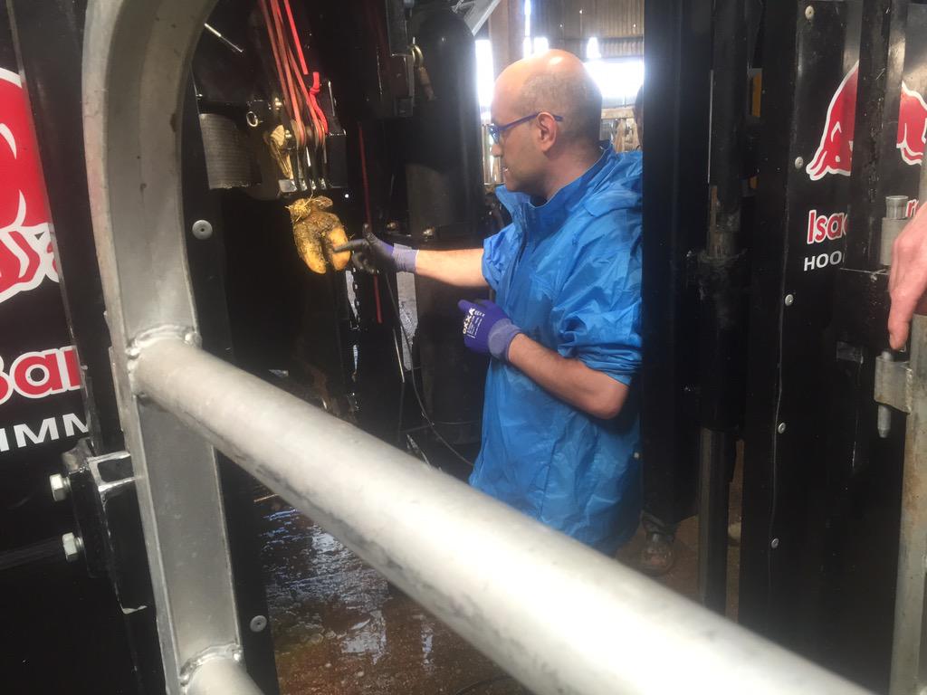 Functional trimming demo <a href="/ARN_Home/">Advanced Ruminant Nutrition</a> @Arturo_GoVet <a href="/BradesDairy/">Brades Farm Dairy</a>