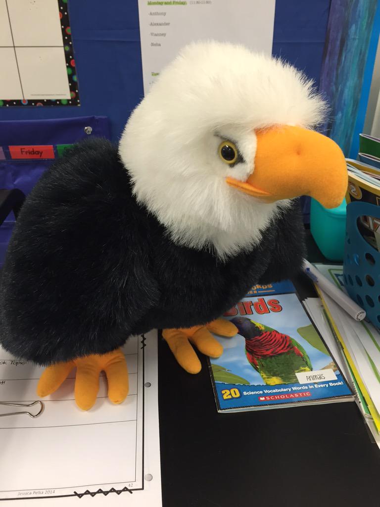 Mr. Pride is visiting our classroom this week. We are super excited!! #eaglepride #d75learns #wseagles