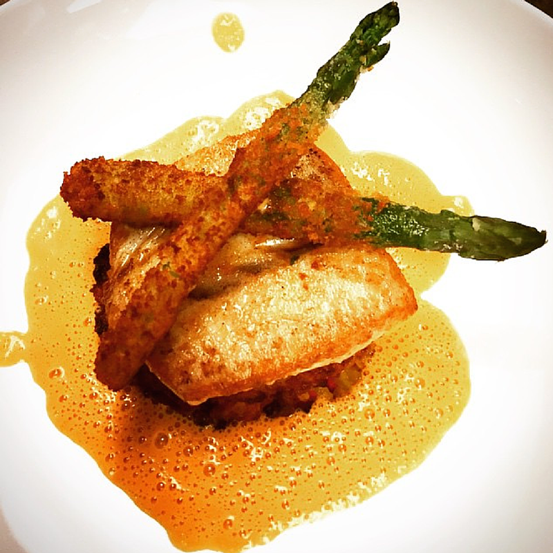 BeautiqueDining's tweet photo. @NY_resident captured our Halibut over a paella cake on Insta. Try it tonight while @MichaelFredo serenades you. #NYC http://t.co/E4Kj36iobF