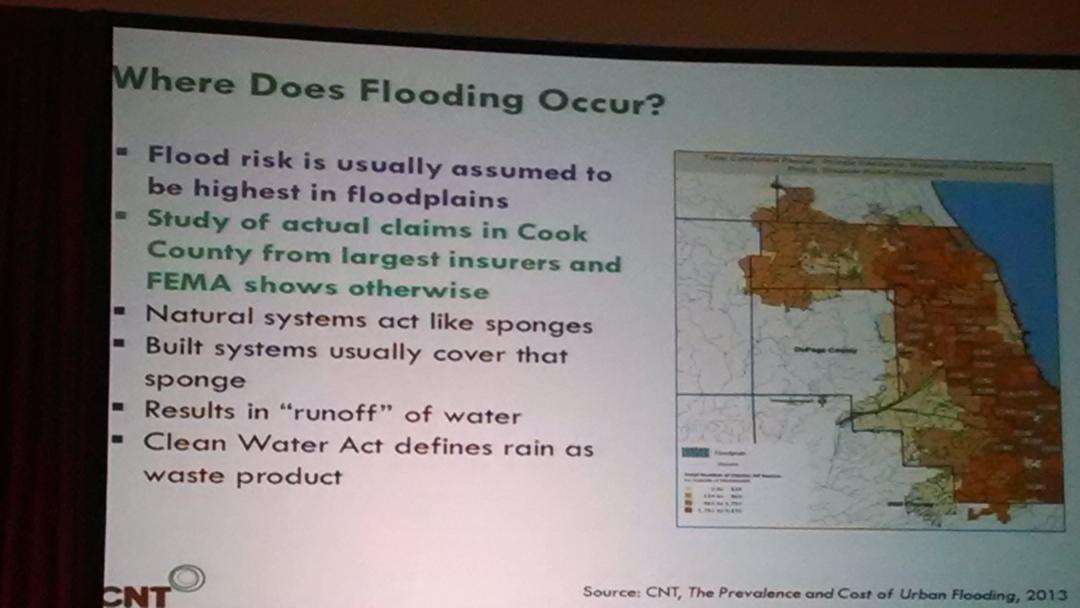 literaryfaerie's tweet photo. Ground cover = sponges. Who knew? More roads = more flooding! #plantatree #earthdayconf #EarthDay2015 @ECOalityMag http://t.co/HTyQaQq3K4