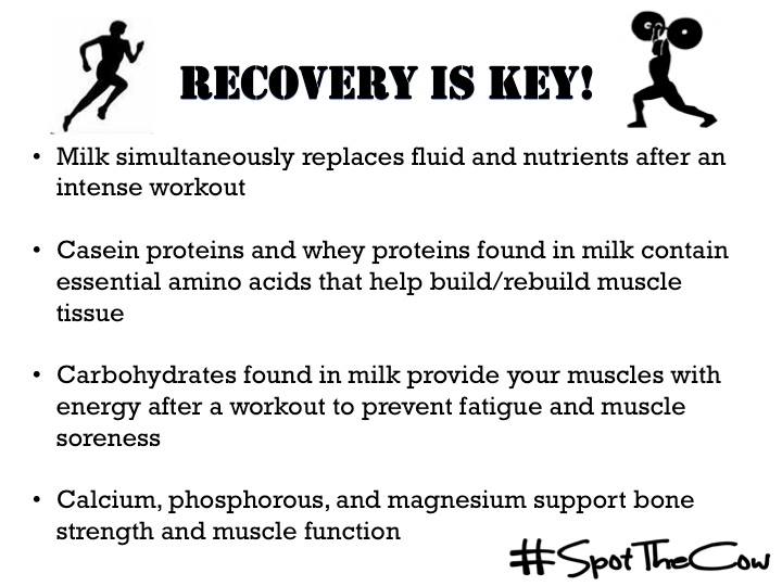 SpotTheCowOSU's tweet photo. Drinking fat-free or low-fat milk after a workout is a great way to help your body recover! #SpotTheCow #MilkMonday http://t.co/Mdjvsorjr2