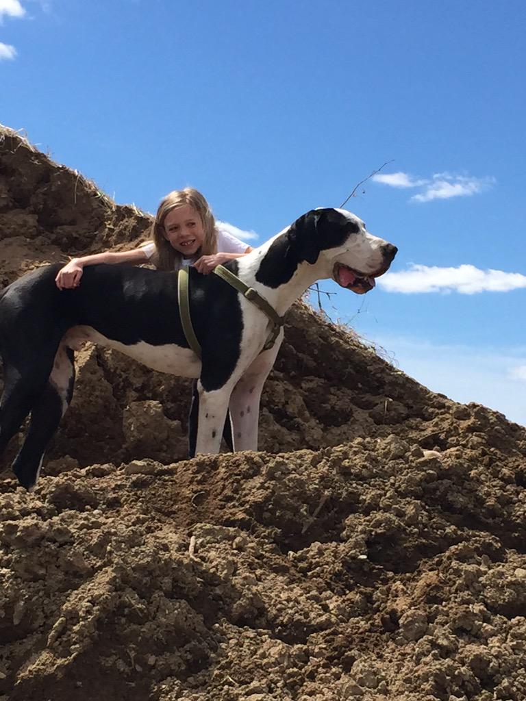 bellaandgeorge1's tweet photo. @TheEllenShow Bella and her service dog George would love to meet you!  #findinggeorge #bellaandgeorge http://t.co/e0NZurY3Z9