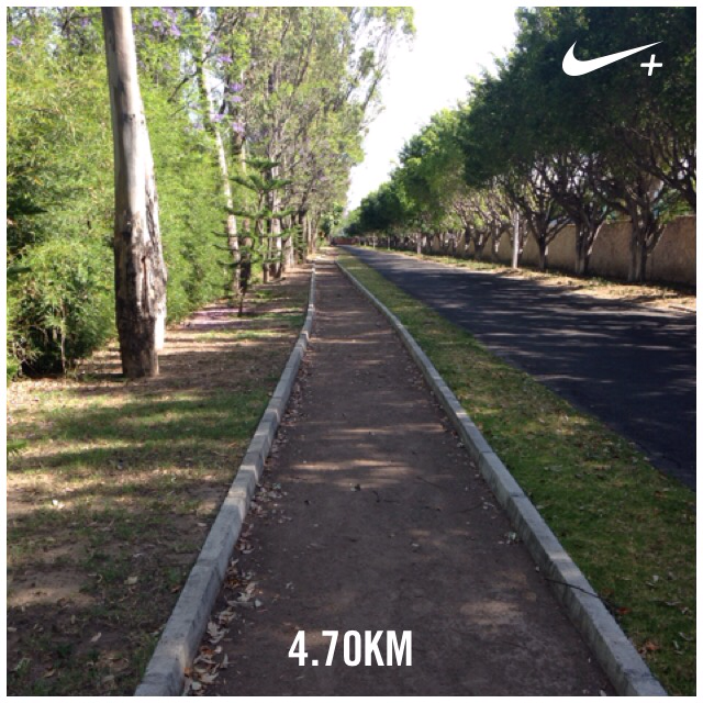 ConstanzaGGDA's tweet photo. #warmup #medio Acabo de correr 4.70 km con Nike+. http://t.co/Zg30DyineW #nikeplus http://t.co/qxtzHkI7B7