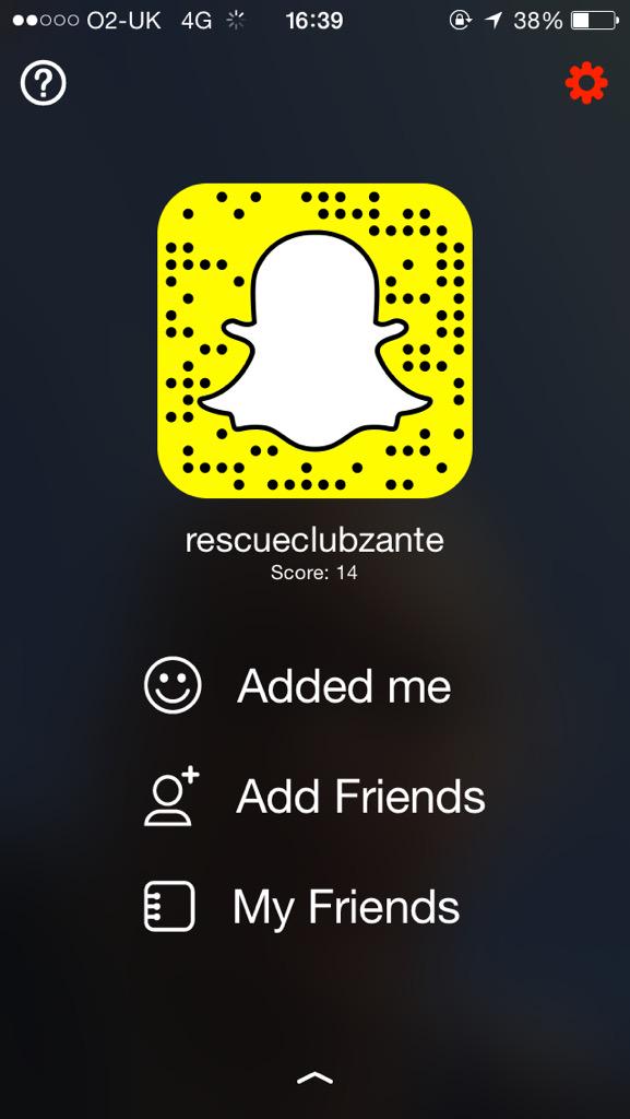 krescueclub tweet media