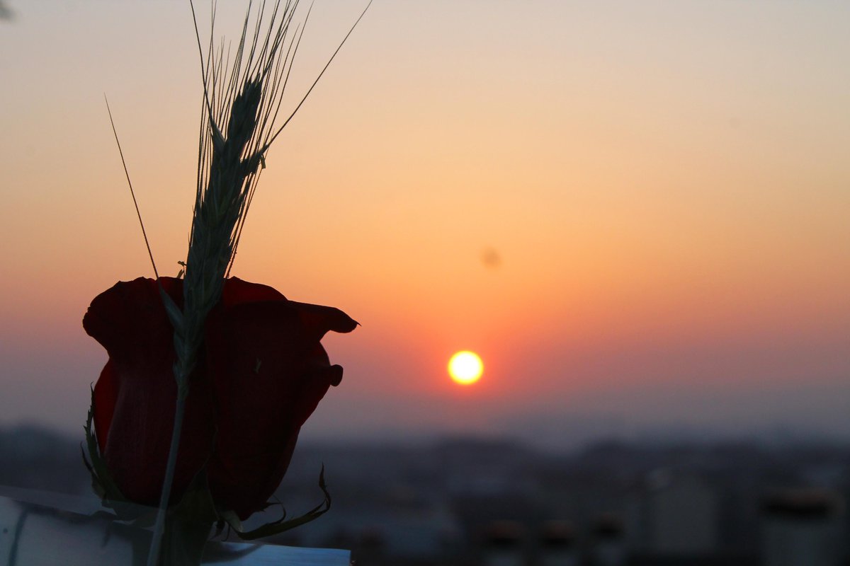 3CatInfo's tweet image. Quin temps tindrem per #SantJordi? bit.ly/1JYQeUo #324eltemps