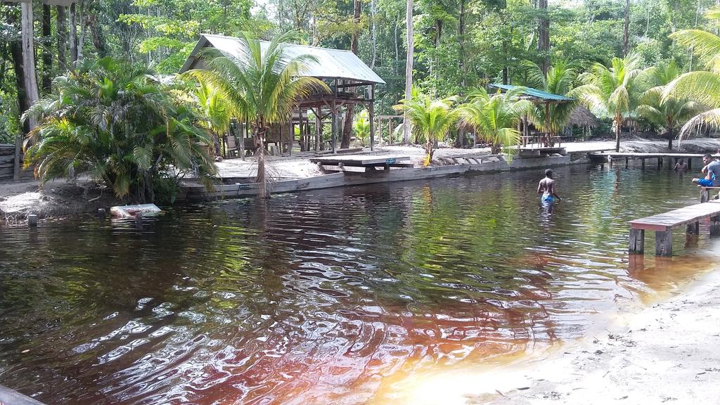 Sticoloco's tweet image. Beautiful creeks of Suriname