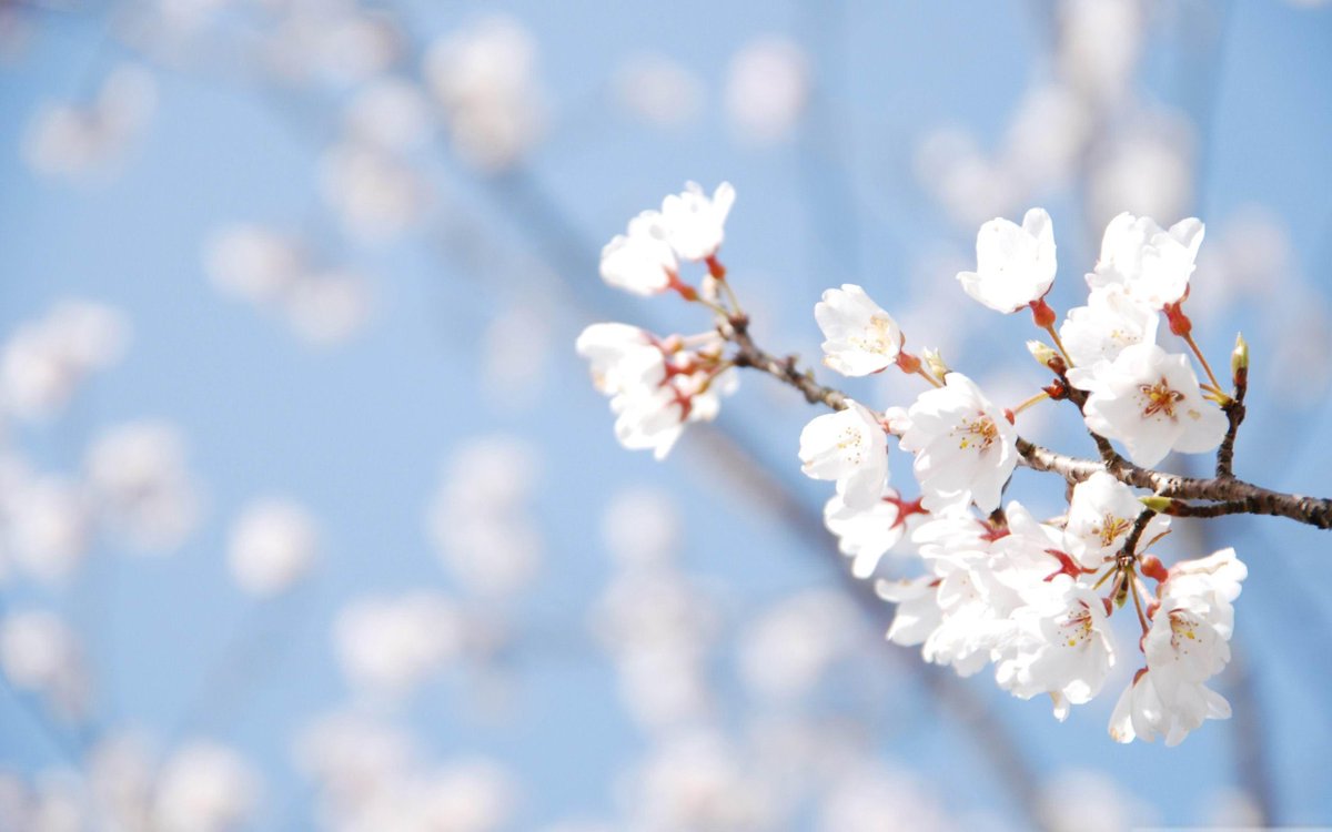 Le Printemps du Conservatoire revient!
Du 6 au 9 mai 2015, au Théâtre de Liège. Plus d'infos : crlg.be