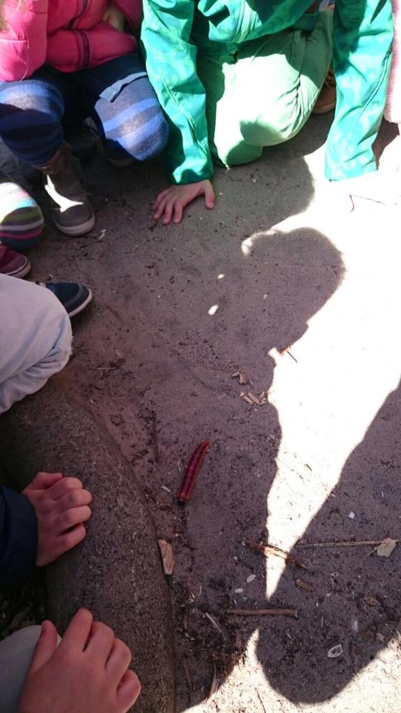 Bron: St. Radboudschool