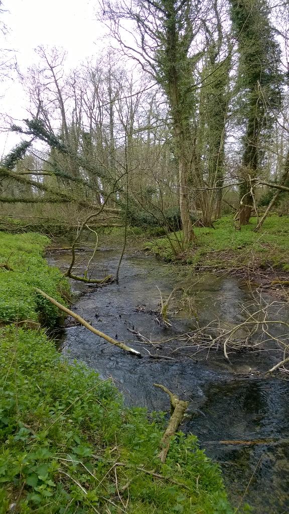 Woody debris work undertaken by <a href="/N_Rivers_Trust/">Norfolk Rivers Trust</a> on Babingley river, Norfolk #LoveYourRiver