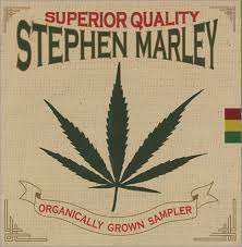 Happy Birthday Stephen Marley a good day for you     
