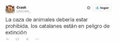 Ver imagen en Twitter