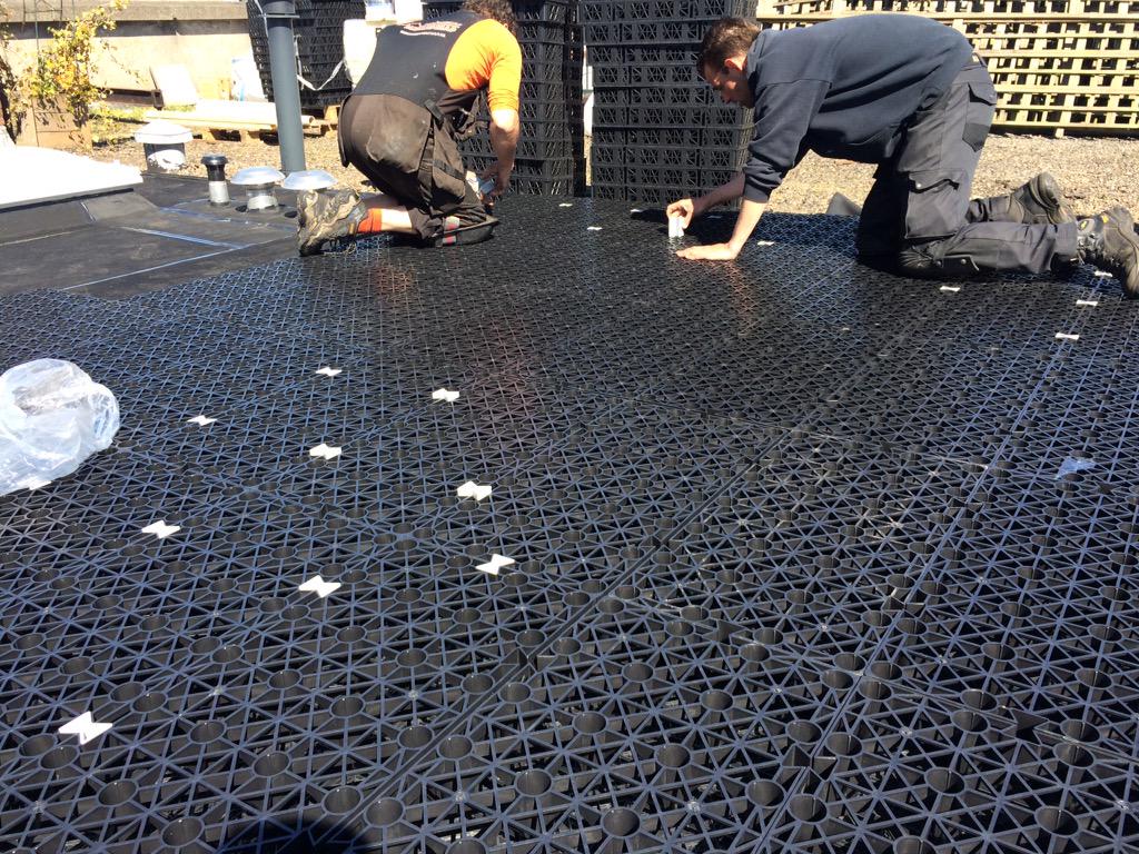 #polderdak in aanbouw. #daktuin #rainwaterharvesting @Rainproof020