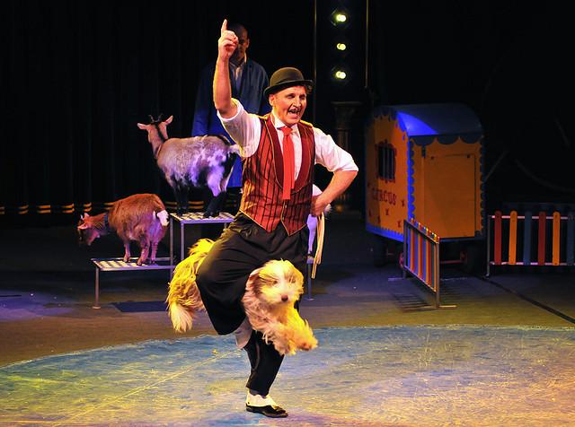 Why Circuses That Use Domestic Animals are Still Abusive Attractions onegr.pl/1DDn7nu