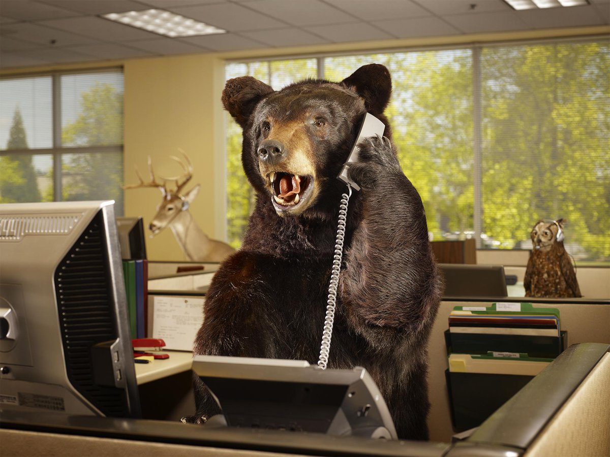joincube's tweet photo. Estás sentado en tu escritorio con ganas de que el fin de semana tuviese un día más? http://t.co/peRZCcBgax http://t.co/SP1FYefgZ5