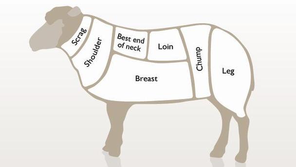 Lamb is in season, delicious lamb. Know your chump from your scrag with recipes from @BBCFood bit.ly/1F6JZhE