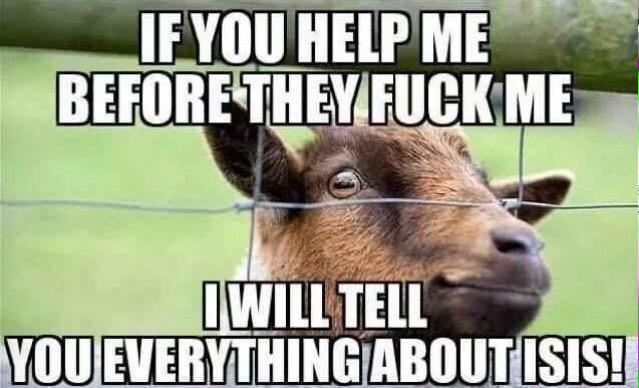 Goat_Fart's tweet photo. HELP ME @_xJunebug http://t.co/3oEXNFYfPZ