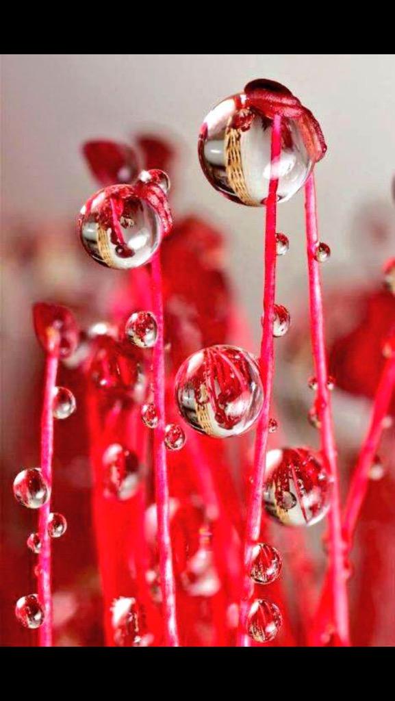 a65xx_'s tweet photo. @m5rcury @NBharuka @John_Carter_EU @Muche4ka @NinaNebo @JessicaDT09 @garciacg17 @LALPUSHP @hahnsmith @AlixTerneyEUQQ http://t.co/UXZWrLuiR8