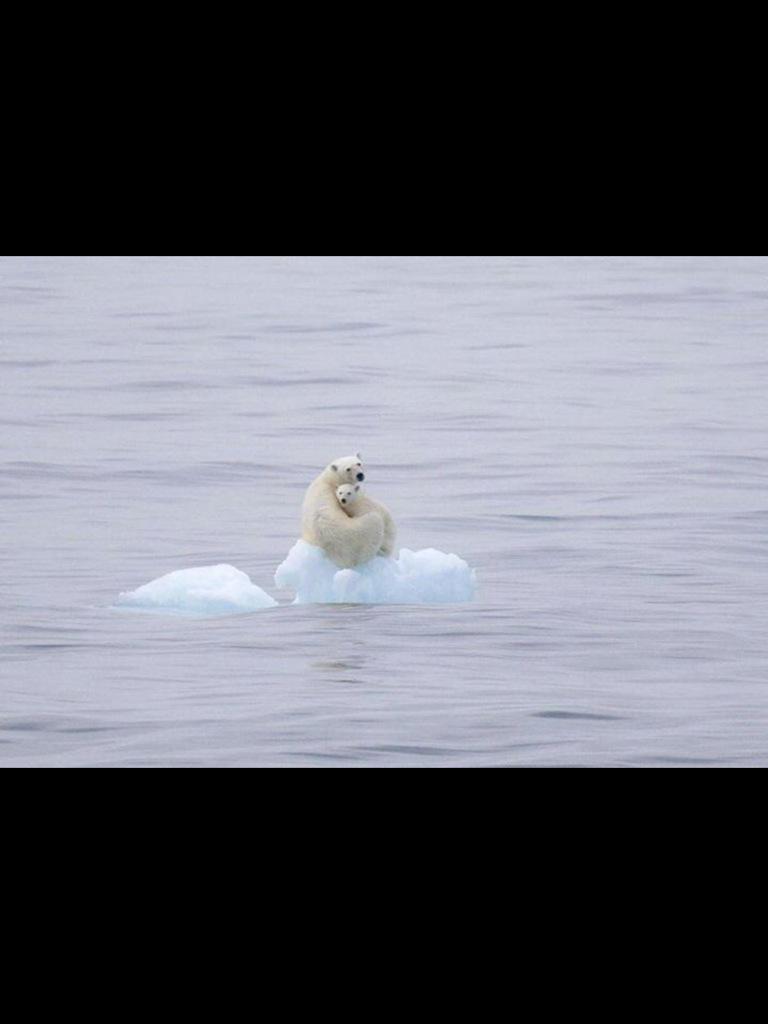 gunzacorn's tweet photo. @bignigguhnixon ice cold http://t.co/W5sLT2X3kC