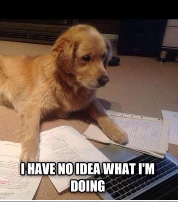 FAUasb2015's tweet photo. Feeling Stressed about finals approaching? Well De-Stress through Service! 
Sign up: https://t.co/o9h2QGkB2K http://t.co/biZYsHvz2N