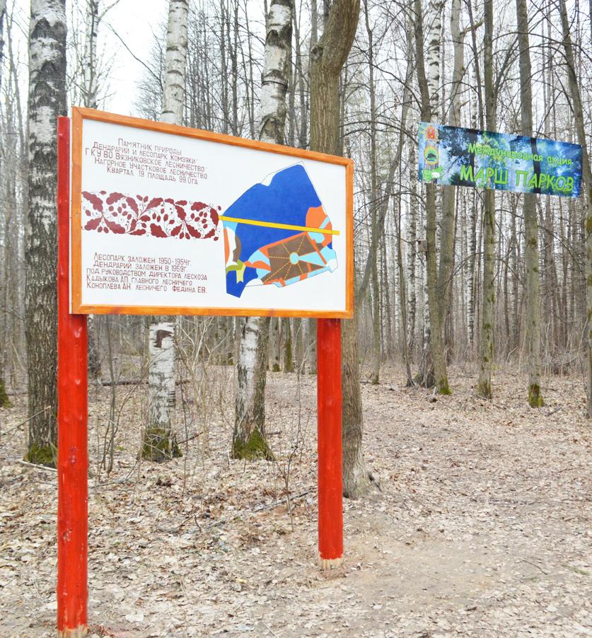 faass777's tweet image. #Маршпарков #Вязники #Комзяки возрождение излюбленного места отдыха вязниковцев.