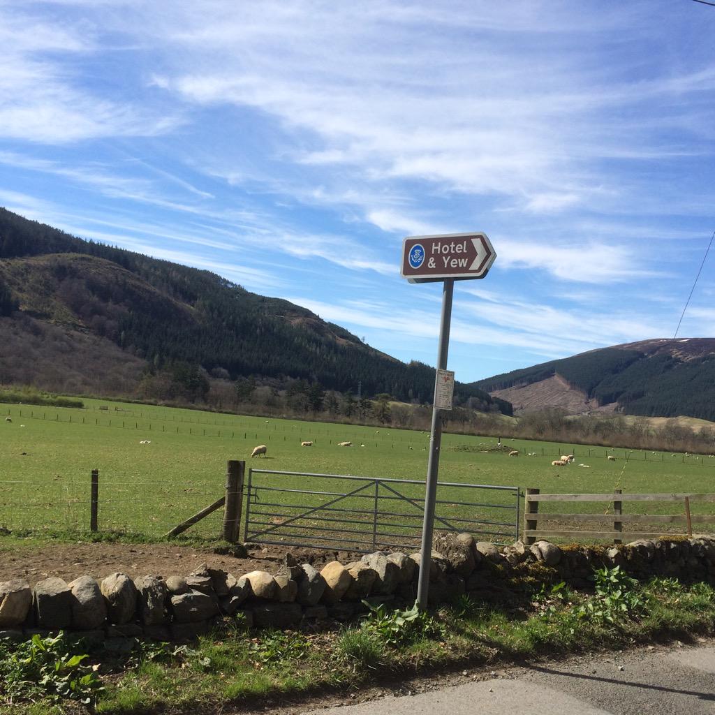 Perfect April #sunshine#Fortingall <a href="/WalknScotland/">Walk in Scotland</a> <a href="/Hi_Perthshire/">Highland-Perthshire</a> <a href="/sykescottages/">Sykes Holiday Cottages</a>