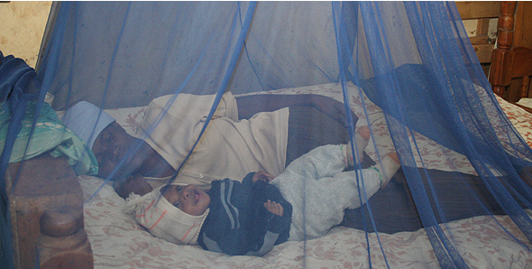 How to prevent dengue during monsoons- Sleep in mosquito net How to prevent dengue during monsoons- Sleep in mosquito net