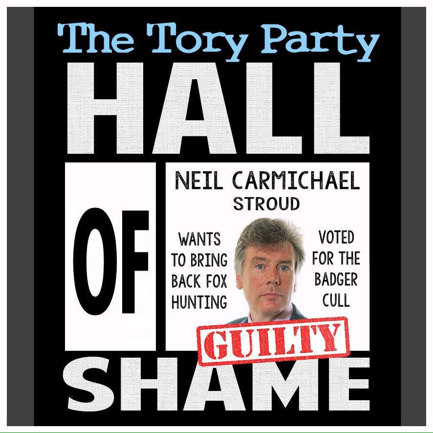 ally_wsm's tweet image. If you care about wildlife don't vote4 Neil Carmichael in #stoud #cullthetories #GE2015 #badgermonday
