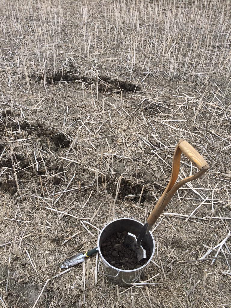 Paul Tastad tweet media