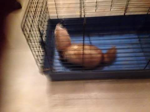 MarijkeKramer1's tweet photo. Wie mist deze fred http://t.co/EF4ozdz1J9